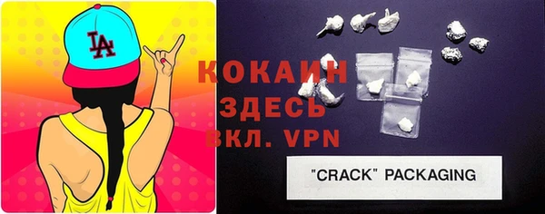 хмурый Абаза