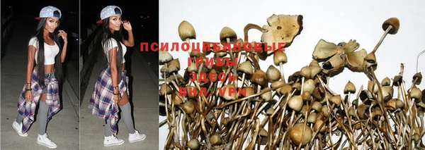 эйфоретик Алзамай