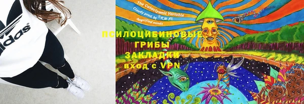 ALPHA PVP Алексин